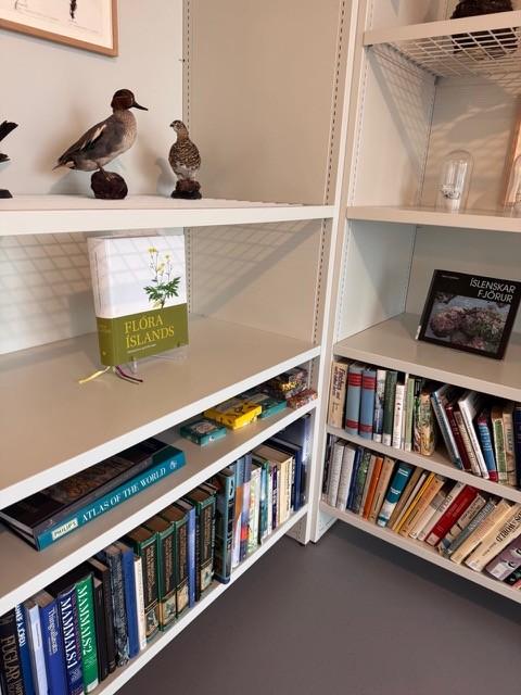 Bücherregale